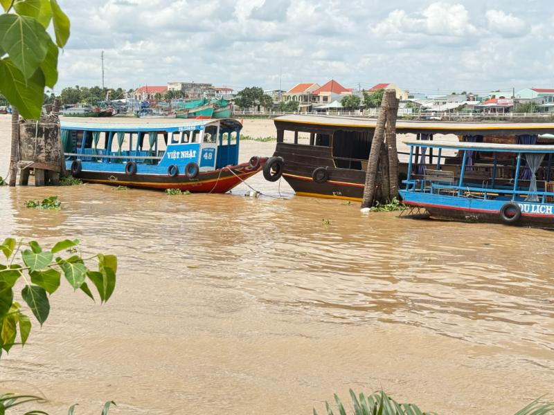 Mekong Delta